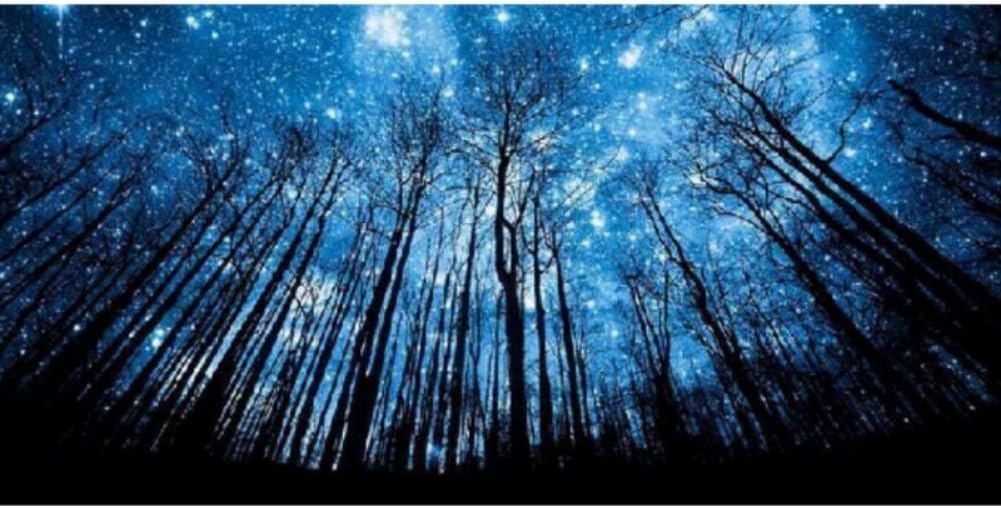 THF Full Drill 5D DIY Diamond Painting Rhinestone Pictures of Crystals Embroidery Kits Arts, Crafts & Sewing Cross Stitch The Dark Woods Stars Sets-Starry Sky in Woodland 45X25CM
