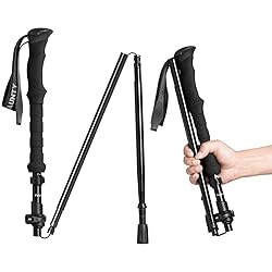 Collapsible Walking Stick for Travel, Adjustable