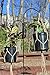 Ashman Double Span Black Deck Hook (2 Pack), 46-Inch Length, Super Strong and Ideal for Bird Feeders, Plant Hangers, Coconut Shell, Hanging Baskets, Lanterns, Wind Chimes and More!