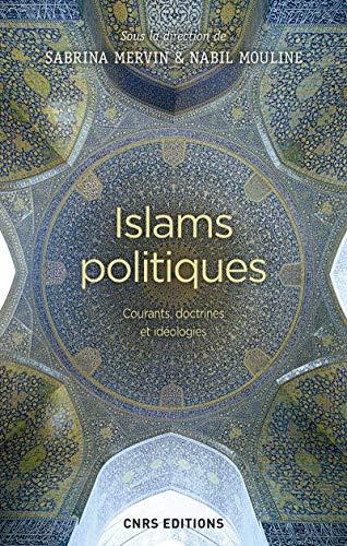 Islams politiques : Les fondements idéologiques (French Edition) by Sabrina Mervin