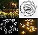 YINGXIANG 8.2Ft Globe String Light，UL Listed String Lights， Hanging Indoor/Outdoor Decorative String Light for Garden,Wedding,Xmas Party,Patio, Backyard,Cafe,Party,Bedroom,Tapestry(Warm White)