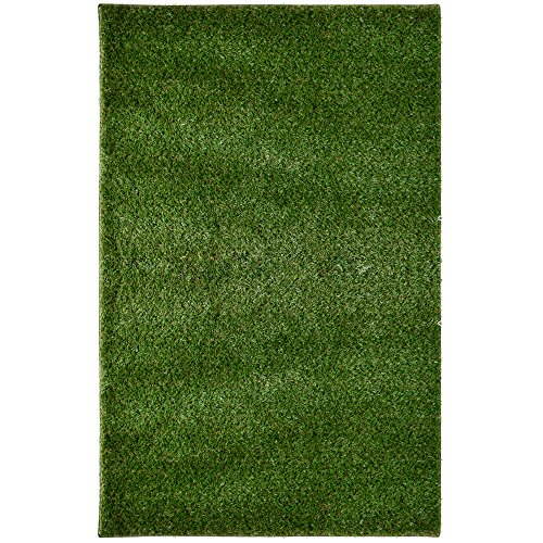 image for iCustomRug Thick Synthetic Artificial Grass Available In Many Sizes Wi