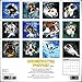 Underwater Dogs 2016 Wall Calendar (12x12)