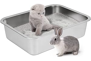 IKITCHEN Stainless Steel Cat Litter Box, Small Low Entry Open Metal Litter Pan for Kittens Newborn Cats Rabbits, Never Absorbs Odors 15.7" L x 11.7" W x 4" H