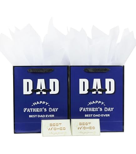 Shiyou-First Fathers Day Gift Bags, 1 Pack, 13 X 10.2 X 4.9 In...