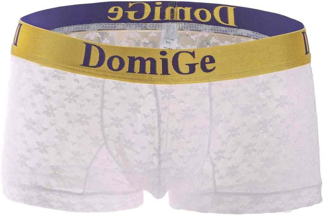 DomiGe Mens Sheer Mesh See-Through Trunks, Four Colours