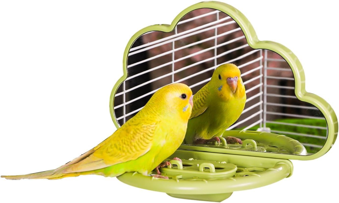 septillar Bird Mirror with Perch Stand, Bird Toys for Budgie Parakeet Cockatiel Conure Lovebirds Finch Canaries (Green)