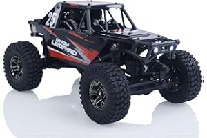 TOUCAN RC HOBBY 1:24 2.4G 4WD RC Rock Crawler Brushless Motor ESC RC Off-Road Vehicles RTR Model Car Battery for Ages 15+