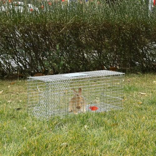 Homodoskey Animal Traps,Live Animal Trap for Cats,Rabbits, Squirrels,cat Trap for Stray Cats, Live Traps for Raccoons, Stainless Steel Foldable with Pedal Triggers (24 x 7 x 8 inches)