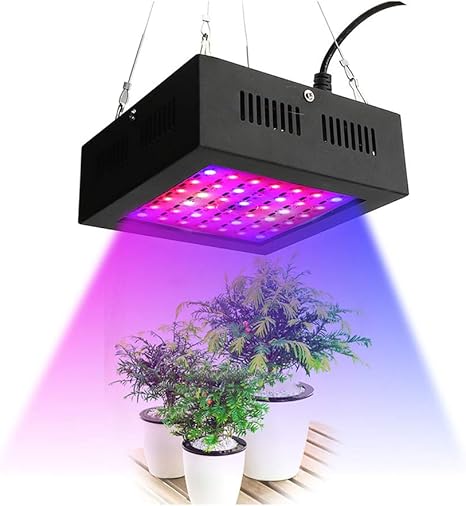 Amazon Co Jp Led植物育成ライト 80wフルスペクトル植物ライト成長ライト室内植物栽培ライトフルスペクトラム植物成長ライトランプは温室 効果と屋内植物の開花成長 ホーム キッチン