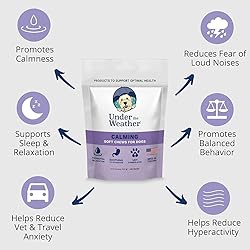 Under the Weather Pet Soft Dog Chew Supplements for