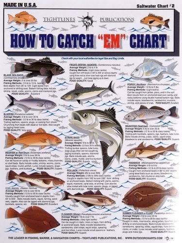 Fishermans Saltwater Fish Chart #2