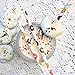 Doughnut Themed Paper Straws - Sleepover Party - Donut Colors Pink Blue Yellow - 100 Pack