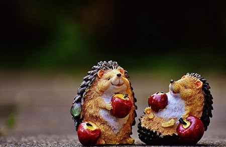 Regali Di Natale Per Due.Puzzle Per Adulti Fai Da Te Due Ricci Puzzle Da 1000 Pezzi Per Regali Di Natale Per Bambini Amazon It Casa E Cucina