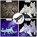 2-Pack UV Flashlight Black Light, 51 LED 395 nm Ultraviolet Blacklight Flashlight Perfect Pet Urine Detector for Dog and Cat Urine, Dry Pet Stains, Bed Bug, Matching with Pet Odor Eliminator