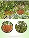 Kingbuy Black Growers Hanging Basket Planter with Chain Flower Plant Pot Home Garden Balcony Decoration-10inch (set of 2) …
