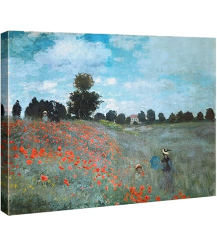 Amazon.com: Poppy Field in a Hollow Near Giverny by Claude Monet