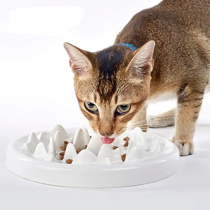 Amazon Com Dotpet Slow Feeder Bowl Ceramic Fun Interactive