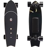 Electric Skateboard Electric Longboard with Remote Control Electric Skateboard,350W Hub-Motor,12.4 MPH Top Speed,5.2 Miles Range,3 Speeds Adjustment, 6 Months Warranty