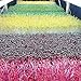 Microgreen Trays No Holes, 5 Pack, Extra Strength Black Shallow 1020 Tray Grow Microgreens Wheatgrass Fodder Sprouting Plants