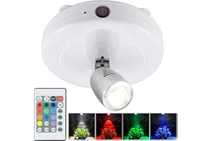 BIGMONAT Cordless Spotlight Battery Operated, RGB Picture Light with Remote and Timer, Color Changing Display Lamp, Dimmable LED Accent Lighting for Artwork Painting Dartboard Plant Gallery