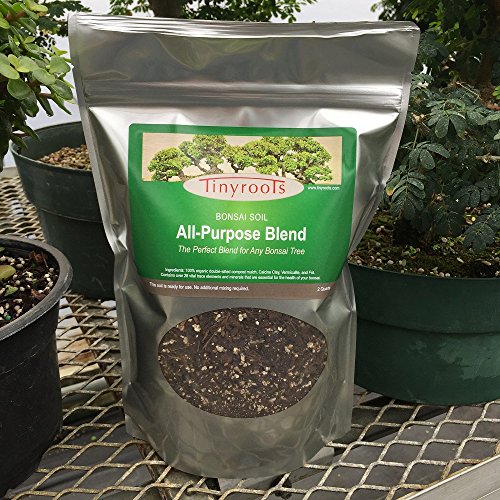 Bonsai Tree Soil All Purpose Blend Two Quarts TinyrootsBrand 100