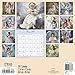 Sandra Kuck - Little Angels Wall Calendar (2017)