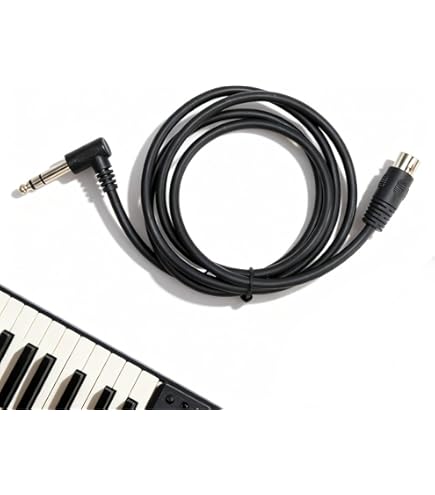 thumbnail image 2 of Boss BMIDI-1-35 Type A 3.5mm TRS To Male 5-pin DIN MIDI Cable - 1 Foot 2 of 14