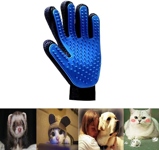 dog high chair amazon