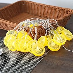 Fruit String Lights Battery Powered Indoor Outdoor