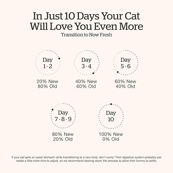 NOW FRESH GRAIN-FREE SENIOR DRY CAT FOOD WITH TURKEY, SALMON & DUCK, PREMIUM KIBBLE MADE WITH REAL POULTRY & FISH, CHICKEN-FREE RECIPE, SUPPORTS HEALTHY WEIGHT MANAGEMENT, 8 LB BAG