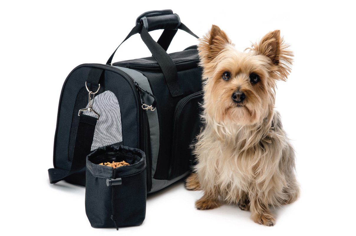 These Are The Best Pet Carrier Purses For All TIme Use!