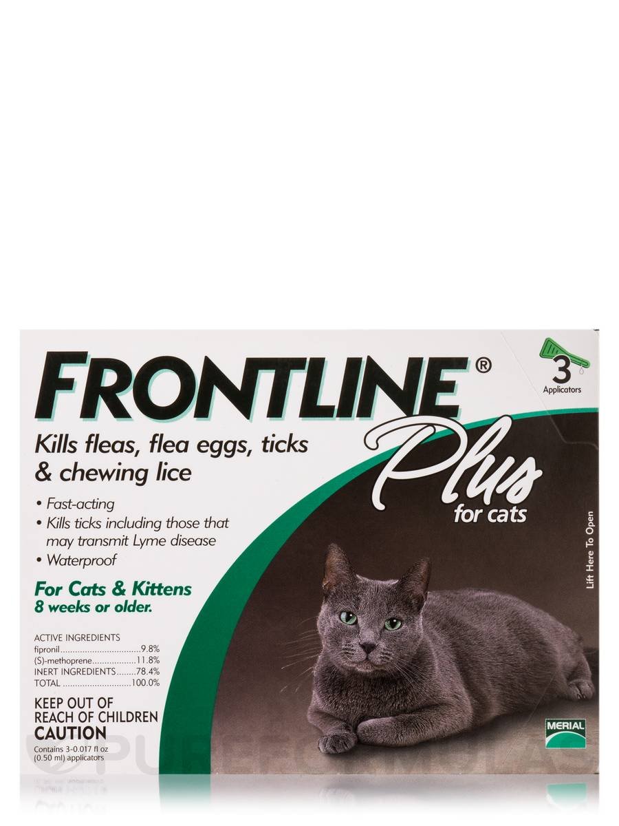 amazon frontline for cats