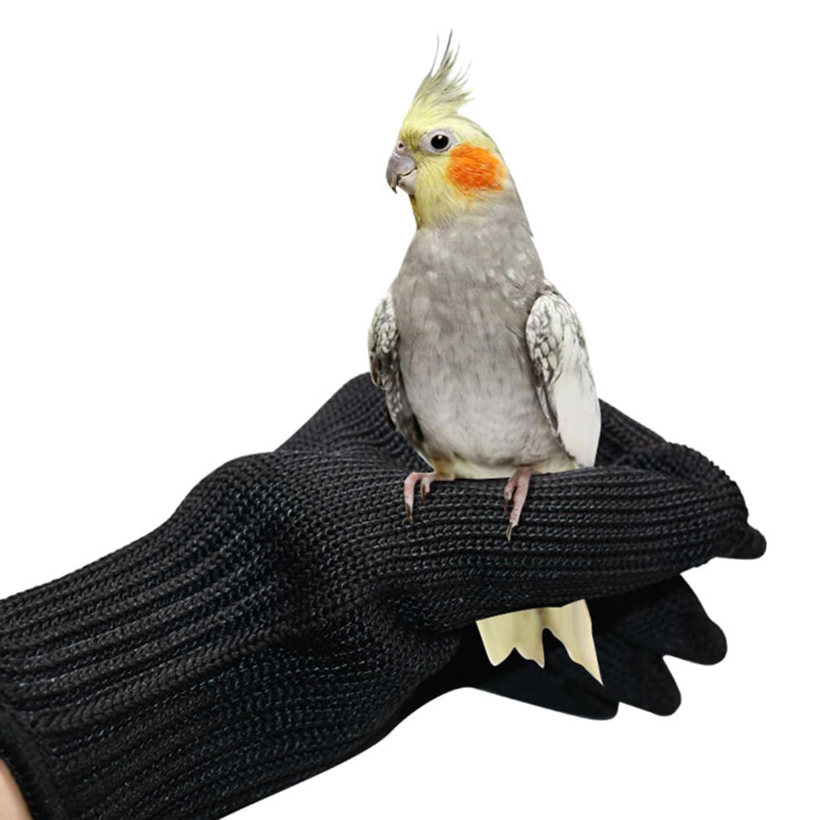 NCONCO 1 Pair Anti- Bite Gloves for Parrots, Bird Training Gloves, Small Animals Handling Wire Gloves and Protective Steel Wire Gloves Chewing (Black)