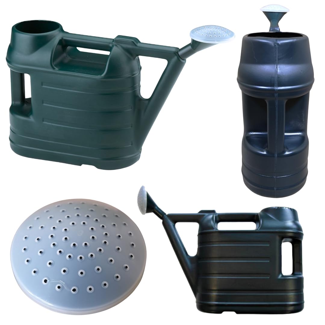 Citystores® Watering Can 6.5L Capacity, Shower Spout Random Colour Gardening Watering Irrigation Plants Home