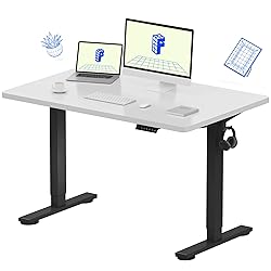 FLEXISPOT EN1 Whole-Piece Standing Desk - 48 x 30