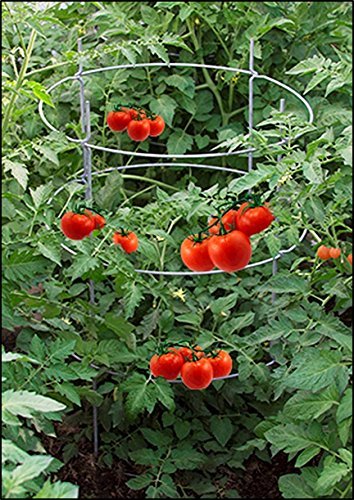 EZGrow TC-4-2 The Big EZ Heavy Duty Folding Tomato Cage & Plant Support, 2-Pack Silver