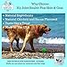 Healthy Shelby Natural Glucosamine for Dogs Plus Skin & Coat, with Glucosamine, Chondroitin, Omega 3 & 6, Yucca, Helps Promote Flexibility & Mobility, Naturally Flavored Soft Chews