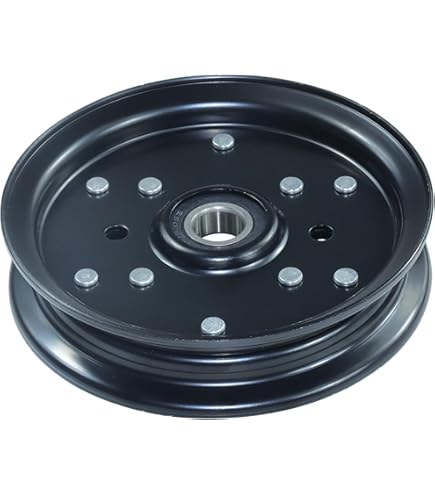 Amazon.com : Exmark 1-613098 Idler Pulley Lazer Z AS CT HP