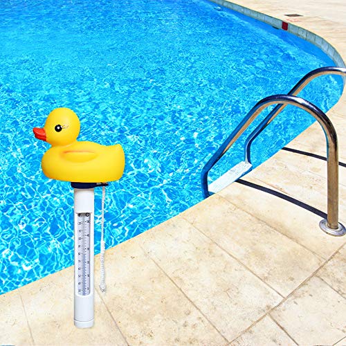 5 Daveyspa+Floating+Thermometer+Resistant+Aquariums