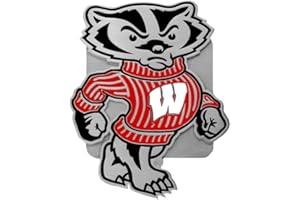 SISKIYOU NCAA Wisconsin Badgers Sports Team Logo Hitch Cover Class III Wire Plugs
