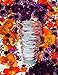 Nachtmann Slice 9.5-Inch Vase