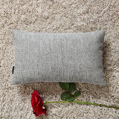 Hey Tang Pack of 2, Chenile Velvet Soft Soild Decorative Square Throw Pillow Covers Set Cushion Case for Sofa Bedroom Car 12 x 20 Inch 30 x 50 Cm,Gray