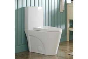 DEER VALLEY DeerValley Elongated One Piece Toilet with Comfortable Chair Seat Height 17", 1.1/1.6 GPF Dual Power Flush Toilet and 12'' Rough-In, DV-1F52102