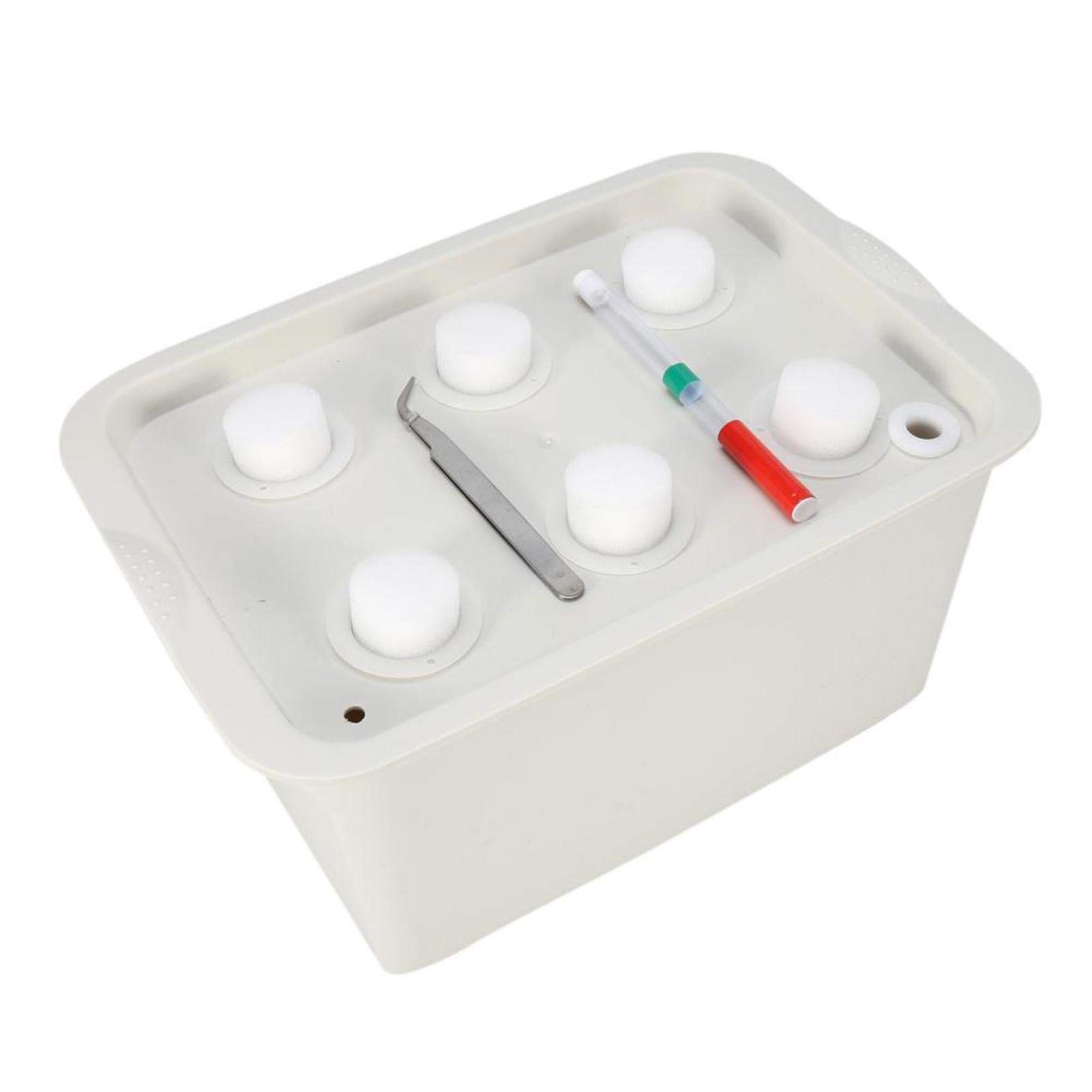 Joyzan Hydroponic Planting Box, Plant Grow System Indoor Herb Garden Container Kit Cabinet Site Bubble Planters Pots Germination Hydroponics Growing Outdoor Nursery Holes for Balcony Parterre Home