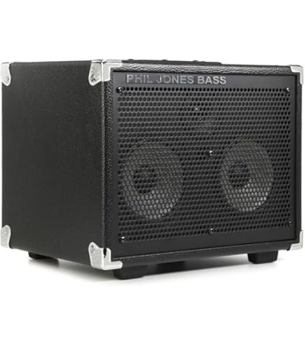 Amazon.com: Phil Jones Compact 2 Bass Cabinet Black : Musical