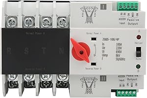 Wisoqu Power Automatic Transfer Switch,ZGQ5-1004P 220V 100A Power Transfer Switch,Anti?Aging, and