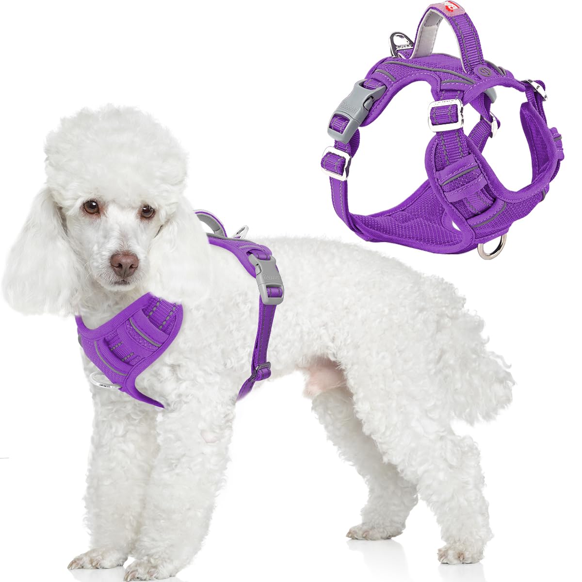 BARKBAY No Pull Dog Harness Front Clip Heavy Duty Reflective Easy Control Handle for Large Dog Walking with ID tag Pocket(Purple,S)