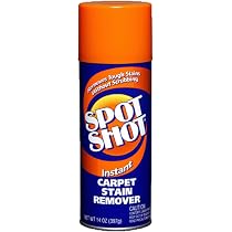 Instant Carpet Stain Remover 