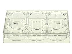 Nest Scientific 703001 Polystyrene 6 Well Cell
